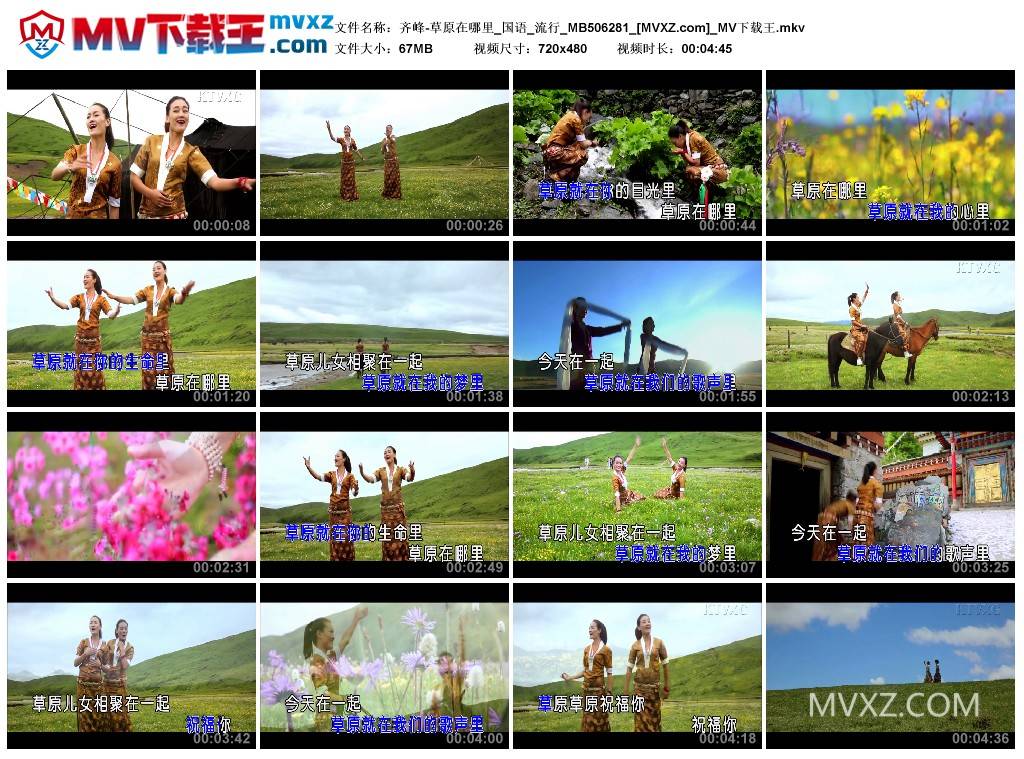 齐峰-草原在哪里_国语_流行_MB506281